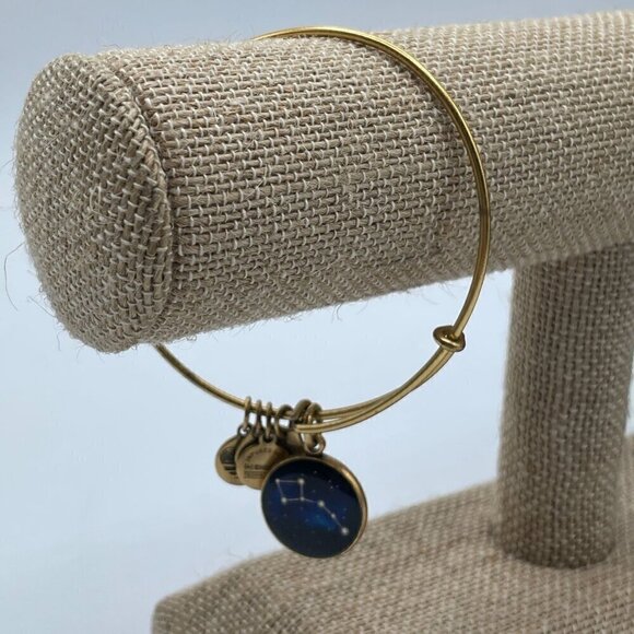 Alex and Ani Little Dipper Rafaelian Gold Tone Bangle Bracelet 2016 - Picture 4 of 4